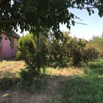 Satılır 4 otaqlı Həyət evi/villa Biləsuvar 3