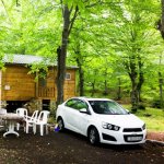 Kirayə (günlük) 5 otaqlı Bağ evi Quba 10