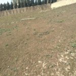 Satılır Torpaq, Novxanı, Abşeron rayonu 1