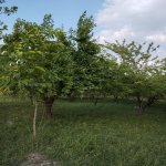 Продажа Участок Губа 4