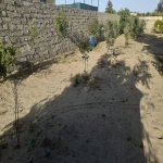 Satılır 2 otaqlı Bağ evi, Bilgəh qəs., Sabunçu rayonu 5