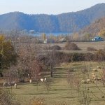 Продажа Участок Гябяля 1