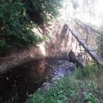Kirayə (günlük) 3 otaqlı Bağ evi Qəbələ 3