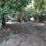 Satılır Torpaq Qax 14