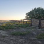 Satılır Torpaq, Novxanı, Abşeron rayonu 4