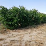 Продажа 3 комнат Дача, пос. Маштага, Сабунчу район 1