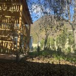 Satılır 5 otaqlı Həyət evi/villa Qəbələ 10
