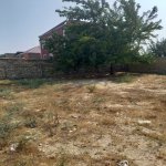 Satılır Torpaq, Novxanı, Abşeron rayonu 1