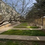 Kirayə (aylıq) 6 otaqlı Həyət evi/villa, Elmlər akademiyası metrosu, Səbail rayonu 22