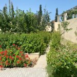 Kirayə (aylıq) 5 otaqlı Bağ evi, Bilgəh qəs., Sabunçu rayonu 20