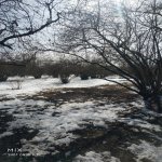 Satılır 2 otaqlı Bağ evi Qəbələ 2
