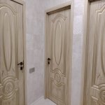 Kirayə (aylıq) 2 otaqlı Yeni Tikili, Gənclik metrosu, Nəsimi rayonu 19