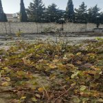 Satılır Torpaq, Novxanı, Abşeron rayonu 2