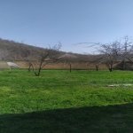 Satılır Torpaq Qəbələ 5