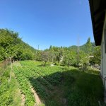 Kirayə (günlük) 4 otaqlı Həyət evi/villa Lerik 5