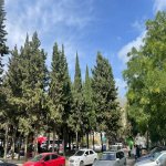 Satılır 2 otaqlı Köhnə Tikili, 20 Yanvar metrosu, 1-ci mikrorayon, Nəsimi rayonu 11