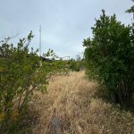 Продажа Участок, Шювалан, Хязяр район 7