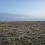 Satılır Torpaq, Məhəmmədli, Abşeron rayonu 2