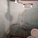 Kirayə (aylıq) 1 otaqlı Həyət evi/villa, Azadlıq metrosu, Binəqədi qəs., Binəqədi rayonu 6