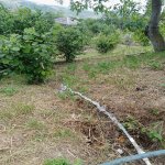 Satılır Torpaq Quba 3