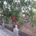Kirayə (aylıq) 5 otaqlı Bağ evi, Hövsan qəs., Suraxanı rayonu 7