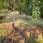 Kirayə (günlük) 3 otaqlı Həyət evi/villa Qəbələ 31