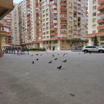 Satılır 3 otaqlı Yeni Tikili, Neftçilər metrosu, 8-ci kilometr, Nizami rayonu 14