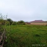 Satılır Torpaq Qəbələ 6