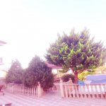 Kirayə (aylıq) 7 otaqlı Bağ evi, Novxanı, Abşeron rayonu 3