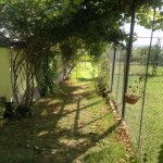 Kirayə (günlük) 6 otaqlı Həyət evi/villa İsmayıllı 10