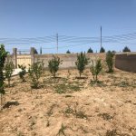 Продажа 3 комнат Дача, Шювалан, Хязяр район 5