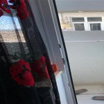 Satılır 3 otaqlı Yeni Tikili, Hövsan qəs., Suraxanı rayonu 16