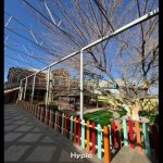 Kirayə (aylıq) Obyekt, Qara Qarayev metrosu, Nizami rayonu 13