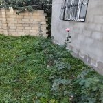 Kirayə (günlük) 3 otaqlı Həyət evi/villa Qusar 3
