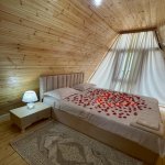 Kirayə (günlük) 3 otaqlı Həyət evi/villa Qəbələ 3