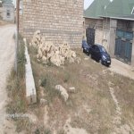Satılır Torpaq, 20 Yanvar metrosu, Sulutəpə qəs., Binəqədi rayonu 2
