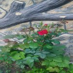 Satılır 4 otaqlı Həyət evi/villa, Lökbatan qəs., Sədərək ticarət mərkəzi, Qaradağ rayonu 7