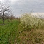 Satılır Torpaq Quba 10