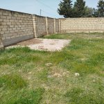 Продажа Участок, Новханы, Абшерон район 9
