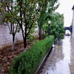 Satılır 5 otaqlı Həyət evi/villa, Novxanı, Abşeron rayonu 5