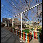 Kirayə (aylıq) Obyekt, Qara Qarayev metrosu, Nizami rayonu 13