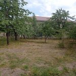 Kirayə (günlük) 4 otaqlı Bağ evi Quba 22