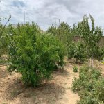 Kirayə (aylıq) 5 otaqlı Bağ evi, Fatmayi, Abşeron rayonu 13