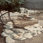 Kirayə (günlük) 5 otaqlı Bağ evi, Xəzər rayonu 10