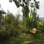Kirayə (günlük) 3 otaqlı Həyət evi/villa İsmayıllı 2