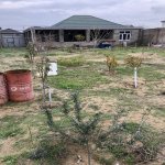 Продажа 3 комнатная Дача, пос. Курдаханы, Sea Breeze, Сабунчу район 16