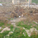 Satılır Torpaq, Qobu, Abşeron rayonu 10
