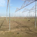 Satılır Torpaq, Novxanı, Abşeron rayonu 8