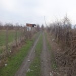 Satılır Torpaq Zaqatala 4