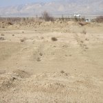 Satılır Torpaq, Baş Ələt qəs., Qaradağ rayonu 6